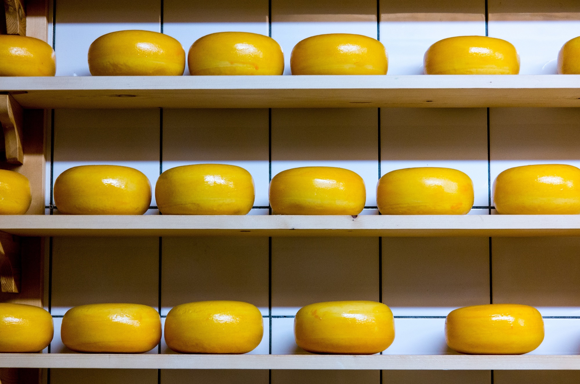Producție brânzeturi